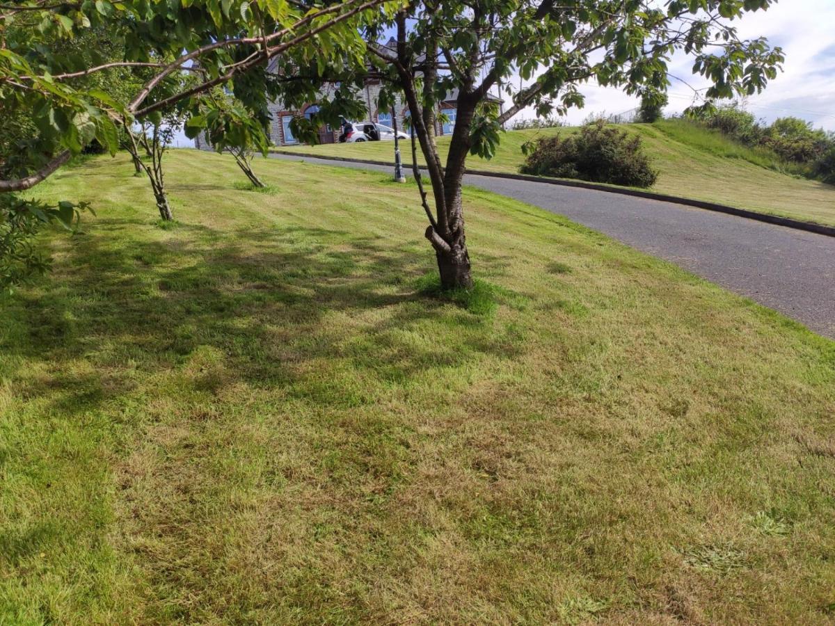 Ballylawn Lodge Letterkenny Exterior photo